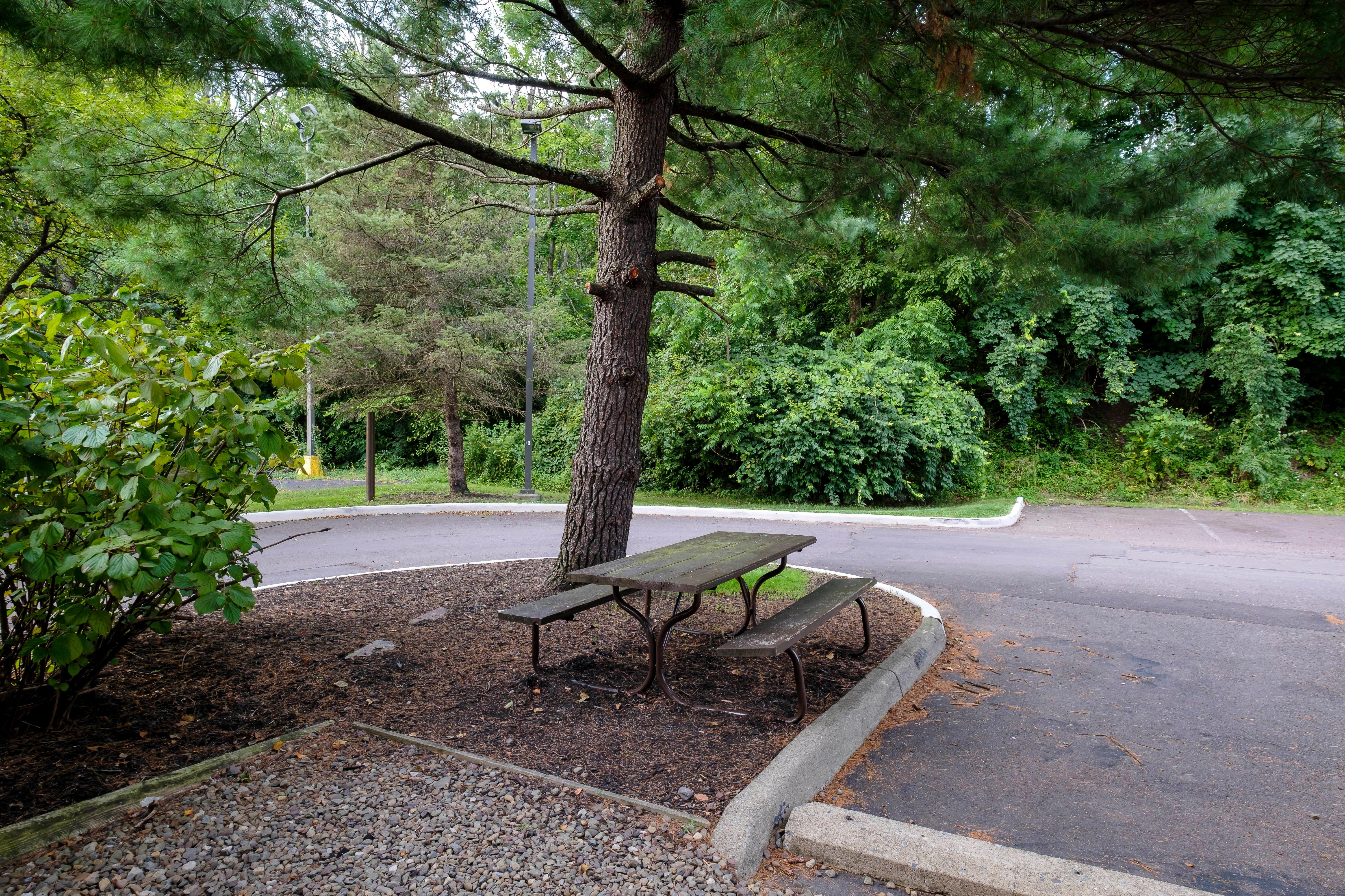 Red Roof Inn Danville, Pa מראה חיצוני תמונה